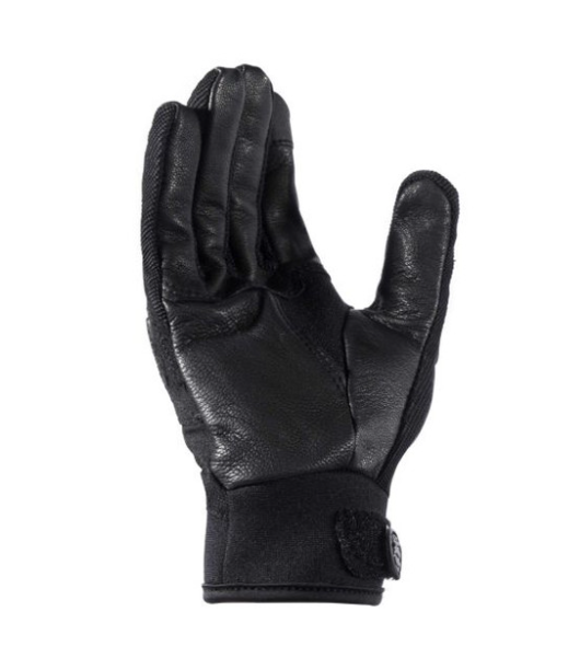 Blauer Fray Glove